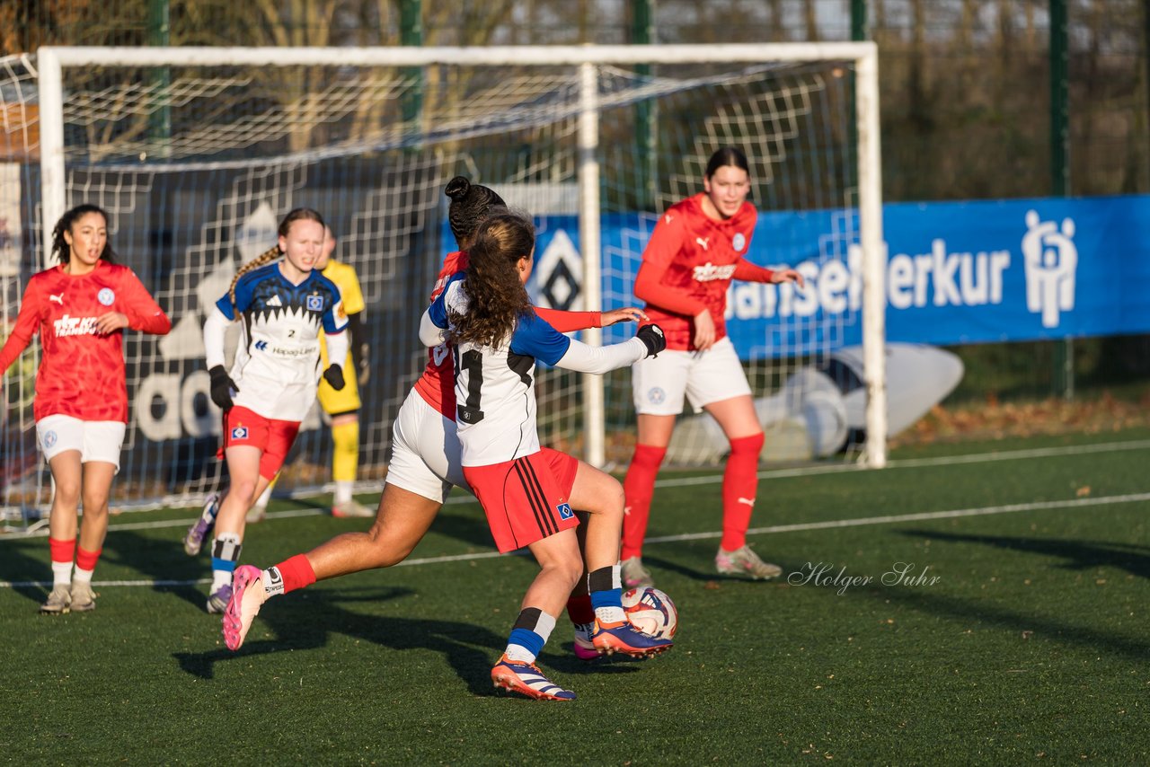 Bild 199 - wBJ Hamburger SV - Holstein Kiel : Ergebnis: 8:0